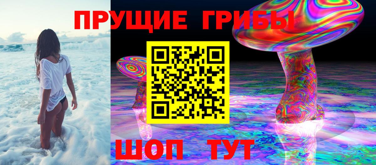 Галлюциногенные грибы Psilocybine cubensis Артём