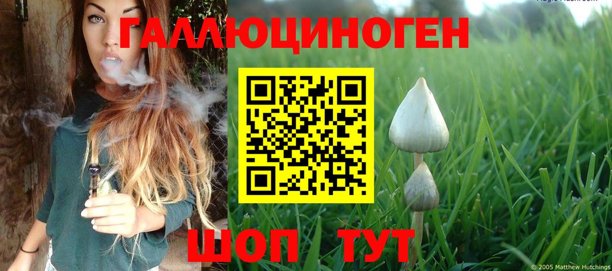 Артём  Псилоцибиновые грибы Psilocybine cubensis  Псилоцибиновые грибы мухоморы  Вход с VPN 